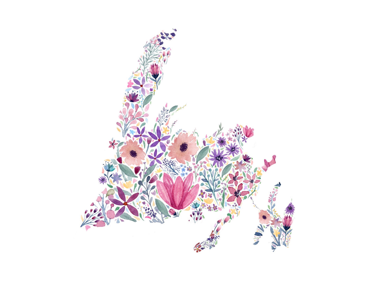 Newfoundland Wildflower Map