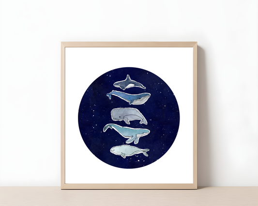 Whales of the World - Moody